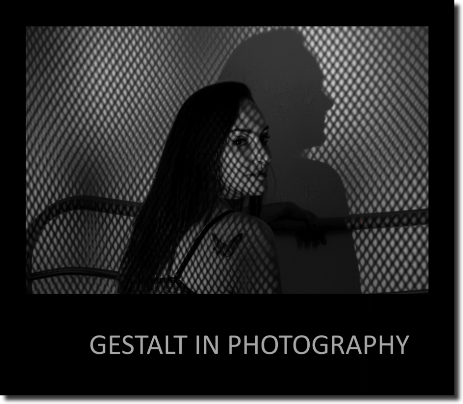 Cover of the book: Gestalt in Photography
